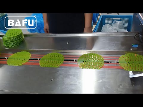 flow wrapper, horizontal flow wrapper, pillow packaging machine, flow-pack, flow pack machine