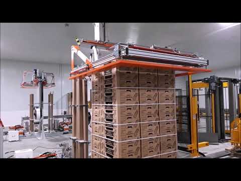 CLIENT: FYFFES - CUSTOM STRAPPING MACHINE - REGGIATRICE CUSTOMIZZATA