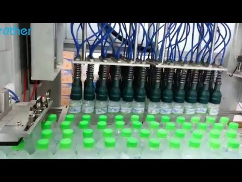 BROTHER Automatic Packing Solution for Bottle Water Production Line