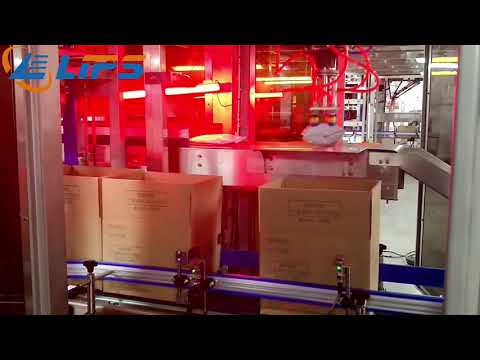 Robot Case Packing and Palletizing Line for Bags