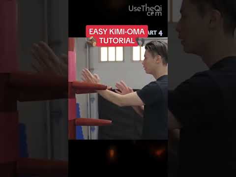 TOP 10 Wing Chun Dummy Techniques - Training Form Part 4 #shorts