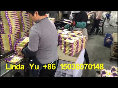mosquito coil packing machine, mosquito coil boxing machine, mosquito coil cartoning machine